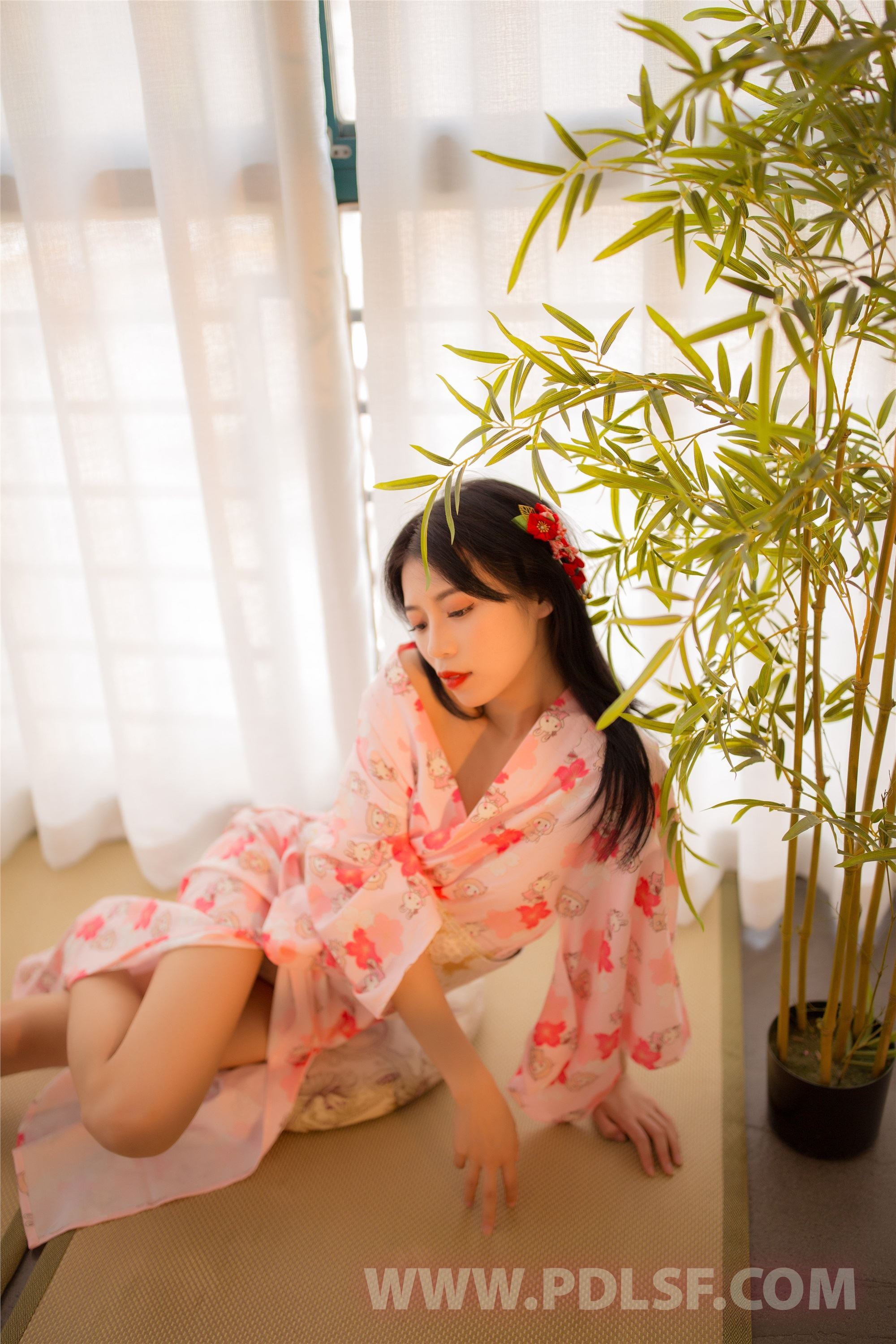 PDL潘多拉  2020.06.02 NO.295 一睹人间盛世颜